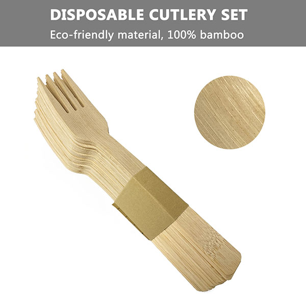 disposable utensils (3)